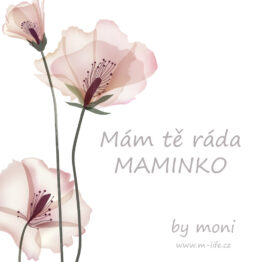 Kartička Mám tě ráda maminko