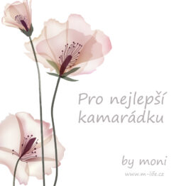 Kartička Pro nejlepší kamarádku