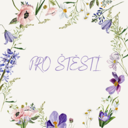 Kartička Pro štěstí 2